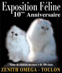 Exposition féline à Toulon le 17 et 18 octobre